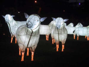 ... et moutons la nuit !