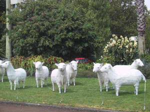 Moutons le jour...