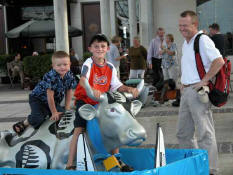 Vache 'America Cup'