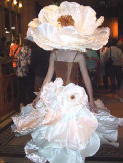 Une fleur...