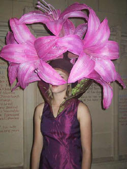 Une fleur...