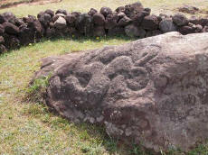 Petroglyphe d'Homme Oiseau